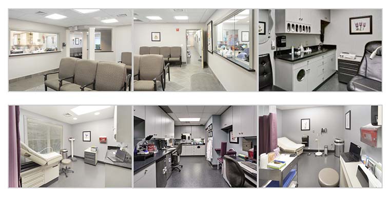 collage of interior office shots
